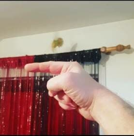 Don’t Clip Parrot Wings – Born to Fly