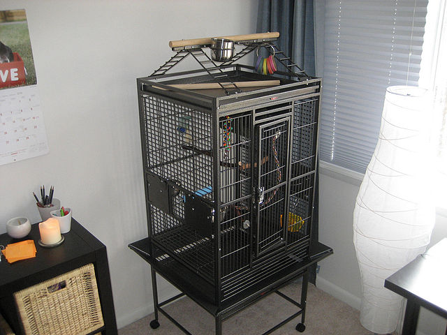 breeding cage